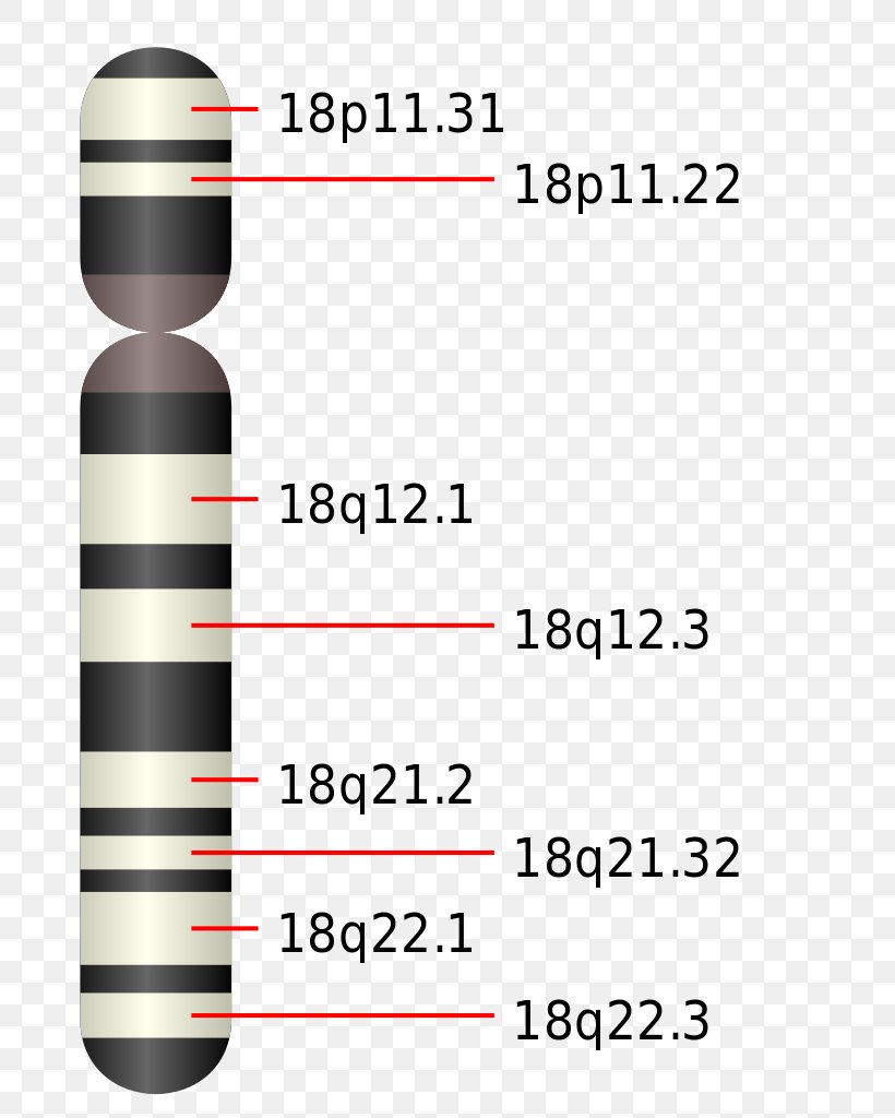 Edwards Syndrome Patau Syndrome Chromosome Trisomy, PNG, 714x1024px, Edwards Syndrome, Area, Chorionic Villus Sampling, Chromosome, Chromosome 18 Download Free