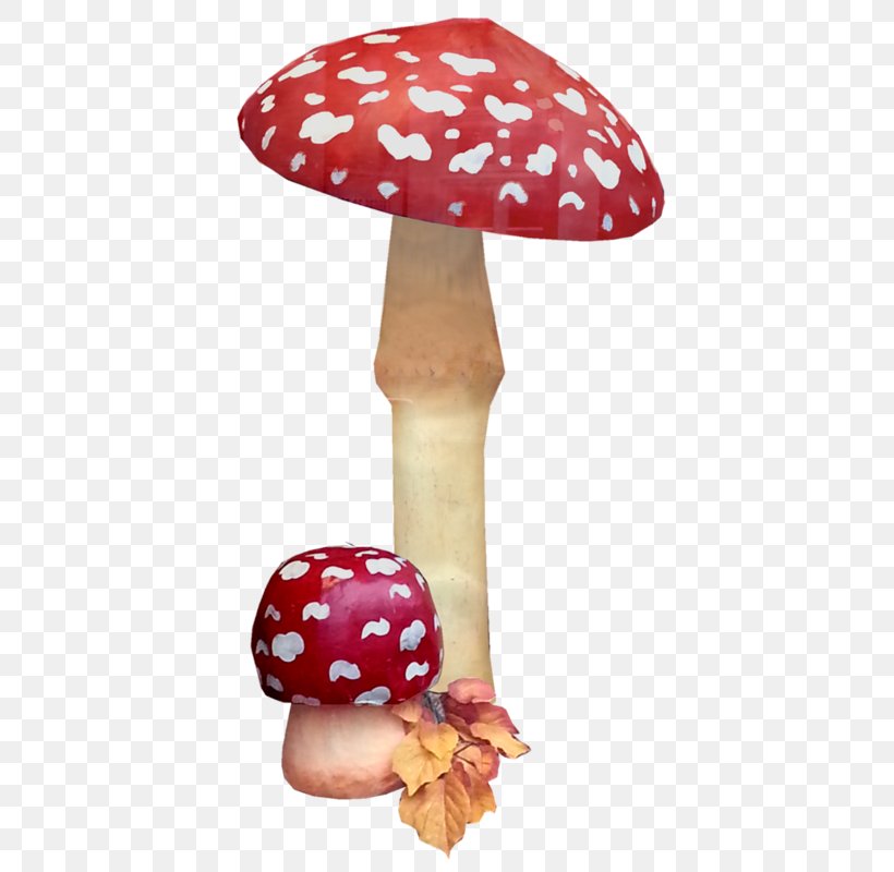 Fly Agaric Common Mushroom Fungus Clip Art, PNG, 517x800px, Fly Agaric, Amanita, Cartoon, Common Mushroom, Drawing Download Free