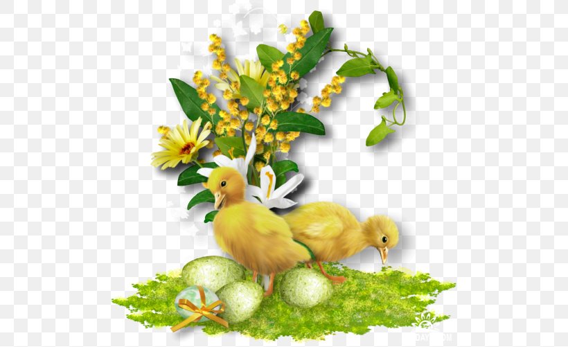 Paper Easter Page Letter Perion Network, PNG, 500x501px, Paper, Beak, Bird, Birthday, Branch Download Free