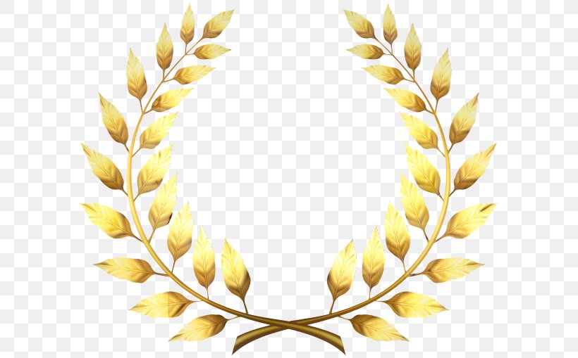 Laurel Wreath Clip Art Bay Laurel, PNG, 599x509px, Laurel Wreath, Art, Bay Laurel, Drawing, Fashion Accessory Download Free