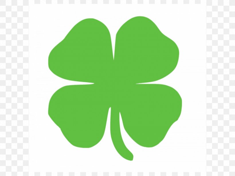 St. Patrick's Cathedral Saint Patrick's Day Shamrock Ireland Four-leaf Clover, PNG, 900x675px, Shamrock, Clover, Fourleaf Clover, Grass, Green Download Free