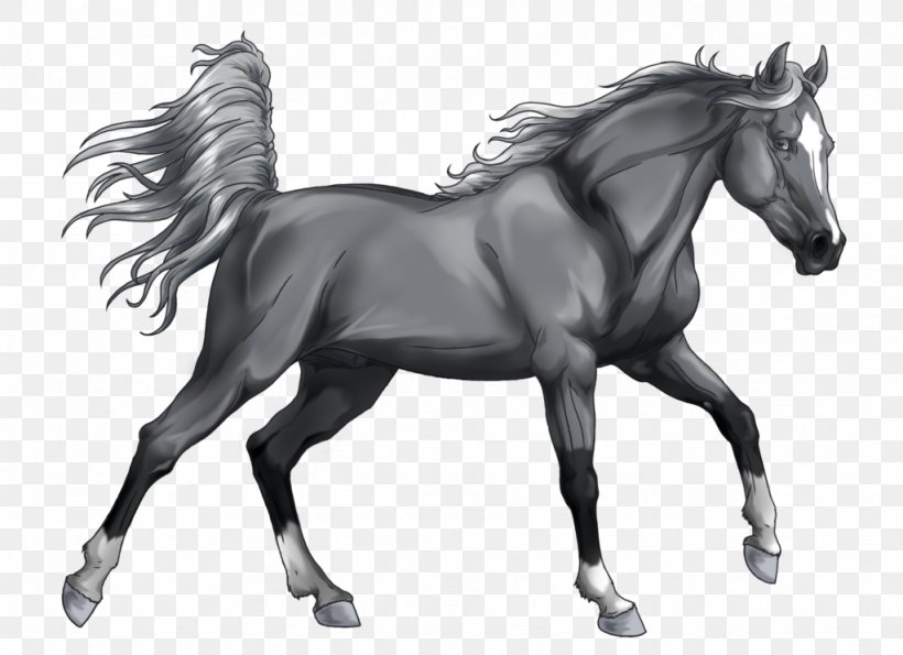 Stallion Arabian Horse Mongolian Horse Grayscale Mustang, PNG, 1024x744px, Stallion, Arabian Horse, Art, Bit, Black And White Download Free