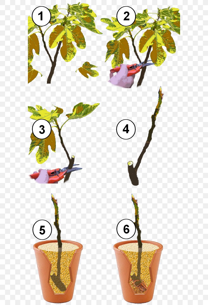 Twig Plant Stem Flowerpot Leaf, PNG, 600x1200px, Twig, Branch, Drinkware, Flora, Flower Download Free