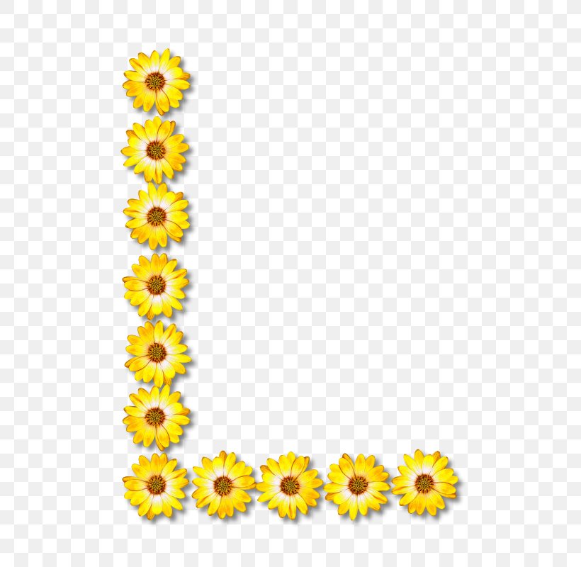 Common Sunflower Letter Alphabet, PNG, 572x800px, Common Sunflower, Alphabet, Cut Flowers, Daisy Family, Flower Download Free