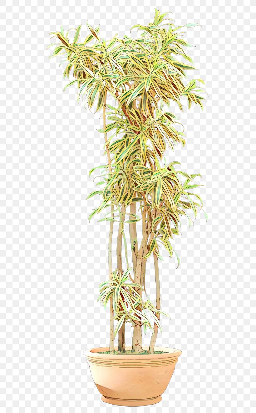 Flowerpot Tree Houseplant Arecales Plant Stem, PNG, 600x1320px, Flowerpot, Arecales, Bamboo, Botany, Flower Download Free