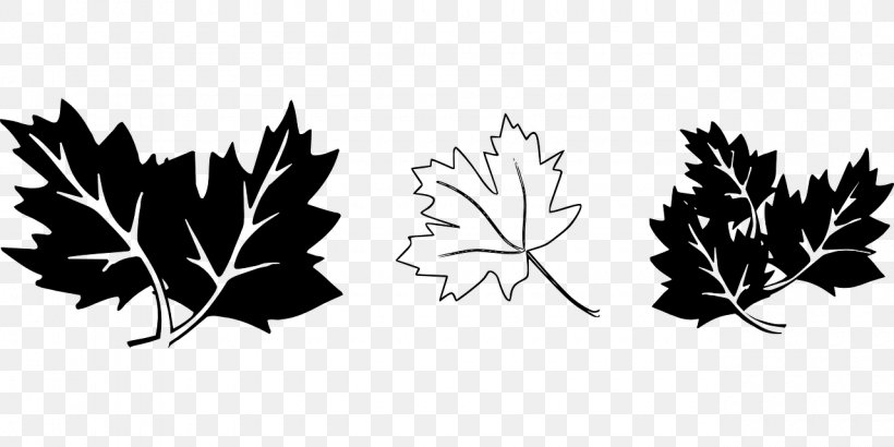 Maple Leaf Drawing Black And White Clip Art, PNG, 1280x640px, Maple Leaf, Black And White, Branch, Drawing, Flora Download Free