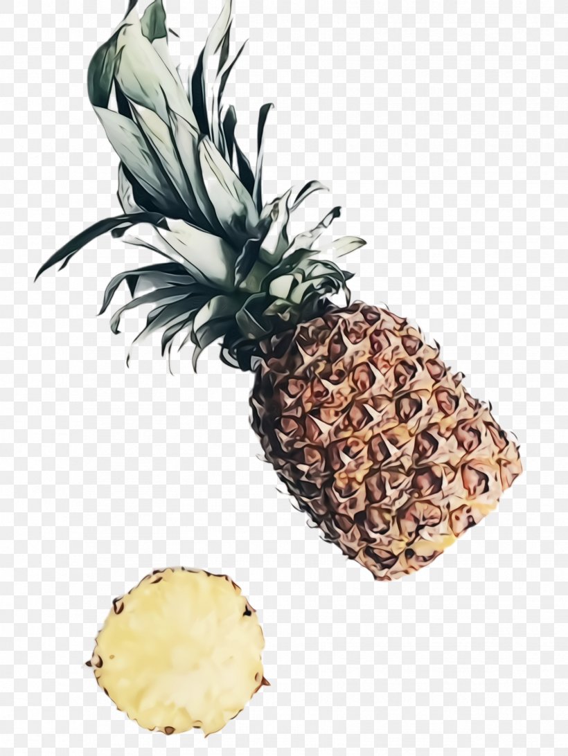 Pineapple, PNG, 1732x2308px, Watercolor, Ananas, Attalea Speciosa, Food, Fruit Download Free