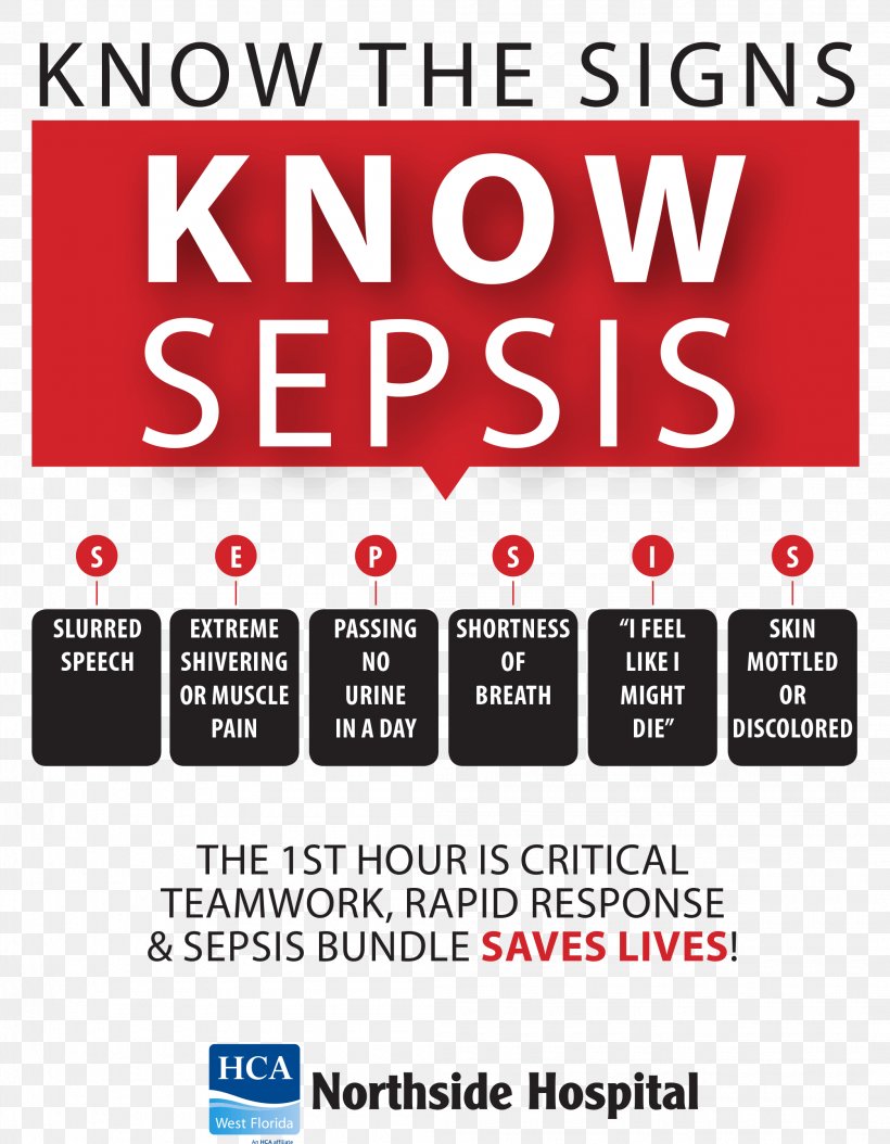 St. Petersburg Northside Hospital Sepsis Medicine, PNG, 2095x2693px, St Petersburg, Advertising, Area, Brand, Communication Download Free