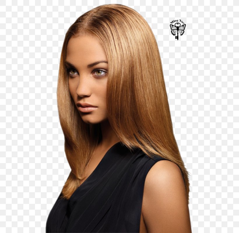 Blond Human Hair Color Hair Highlighting Brown Hair Hair Coloring, PNG, 510x800px, Blond, Artificial Hair Integrations, Balayage, Bangs, Black Hair Download Free