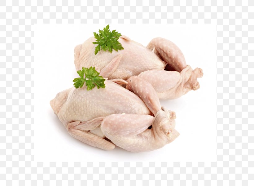 Common Quail Chicken Quail Meat, PNG, 600x600px, Quail, Animal Fat, Animal Source Foods, Chicken, Chicken As Food Download Free