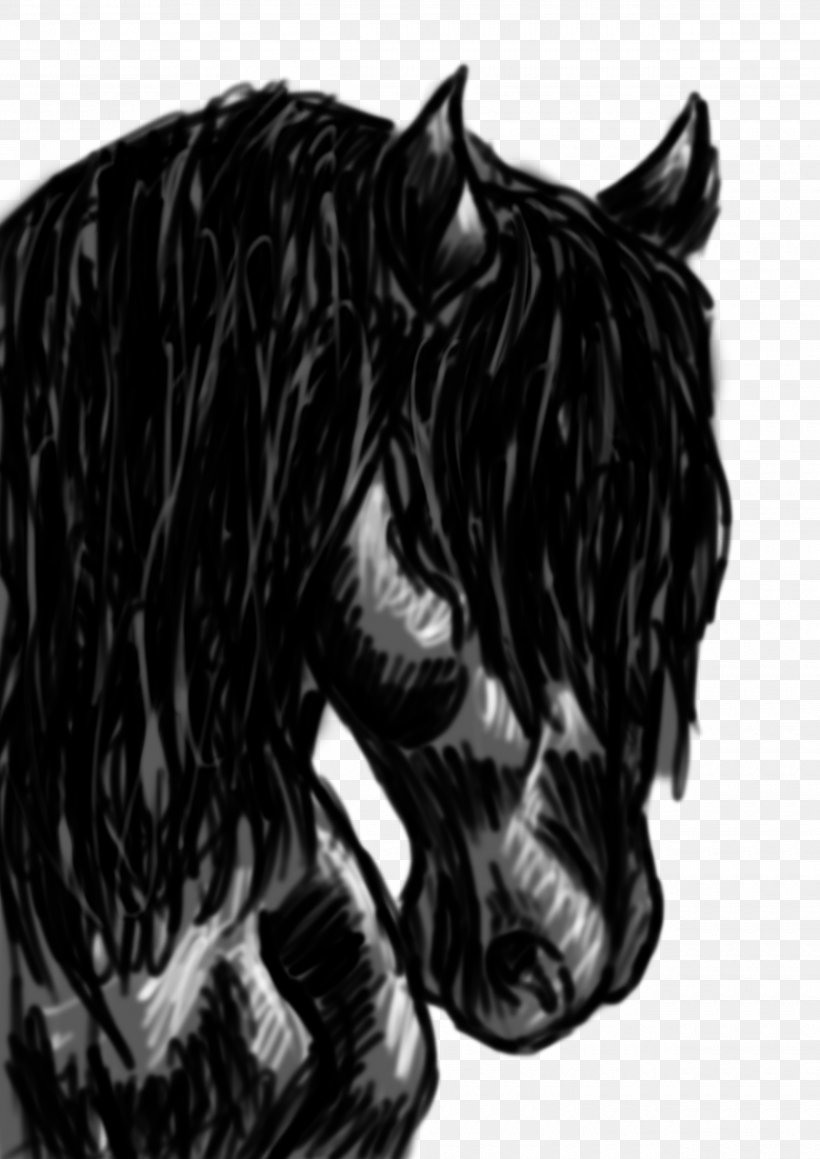 Mustang Stallion Dog Halter Drawing, PNG, 2480x3508px, Mustang, Black, Black And White, Black M, Canidae Download Free
