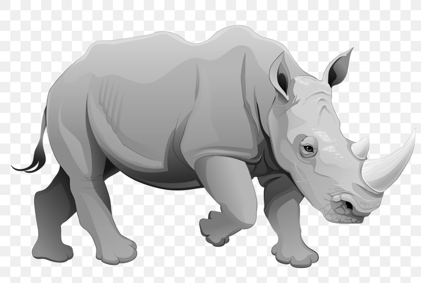 Rhinoceros Cartoon Illustration, PNG, 800x552px, Rhinoceros, Black And White, Cartoon, Cattle Like Mammal, Drawing Download Free