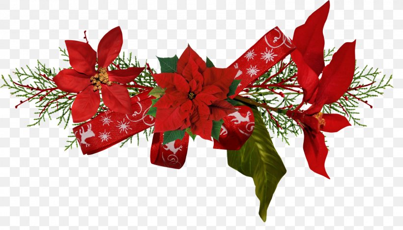 Christmas Flower Poinsettia Clip Art, PNG, 1600x915px, Christmas, Christmas Decoration, Christmas Ornament, Cut Flowers, Decor Download Free