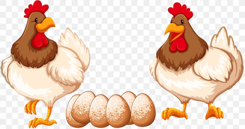 Clip Art Leghorn Chicken Rooster Foghorn Leghorn, PNG, 1280x678px, Leghorn Chicken, Beak, Bird, Chicken, Chicken As Food Download Free