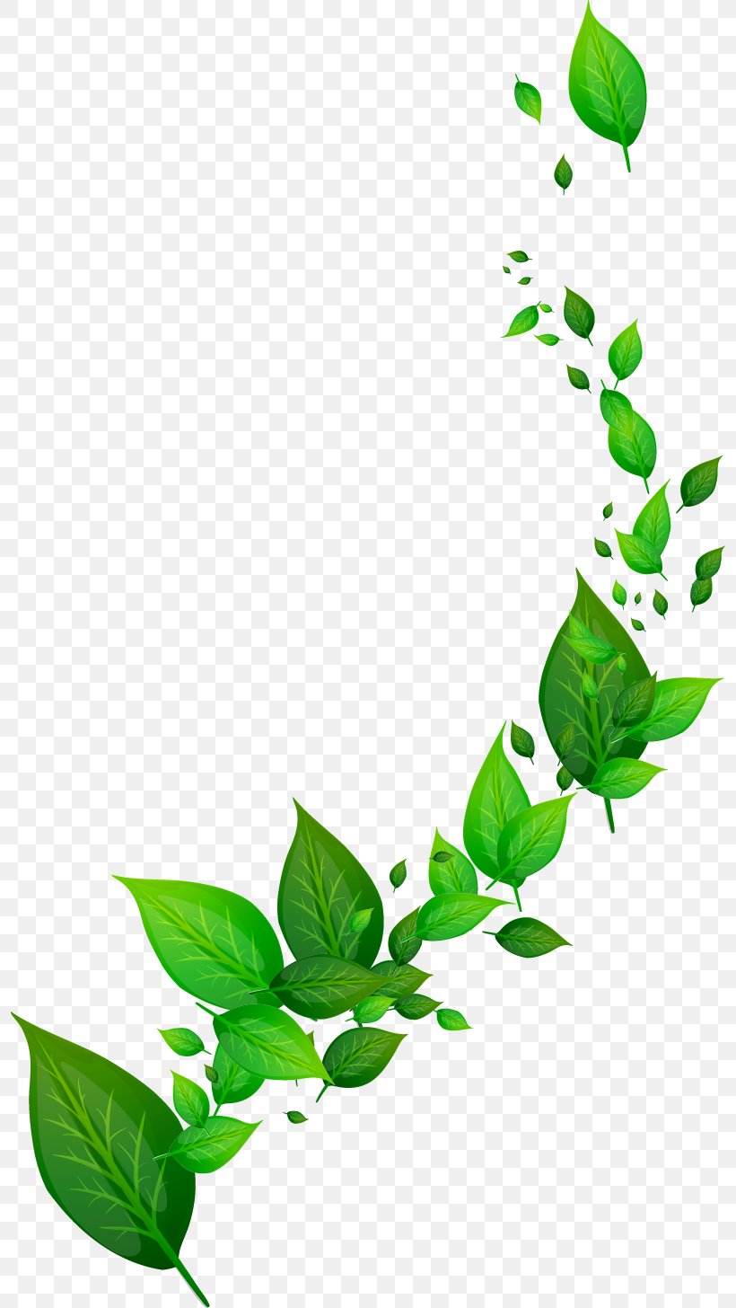 Dynamic Leaf, PNG, 796x1456px, Leaf, Branch, Color, Designer, Flora Download Free