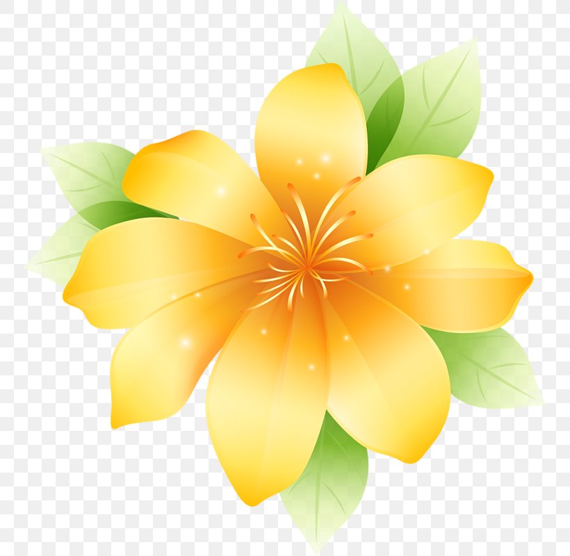 Flower Drawing Graphics Clip Art, PNG, 753x800px, Flower, Drawing, Flora, Floral Design, Floristry Download Free