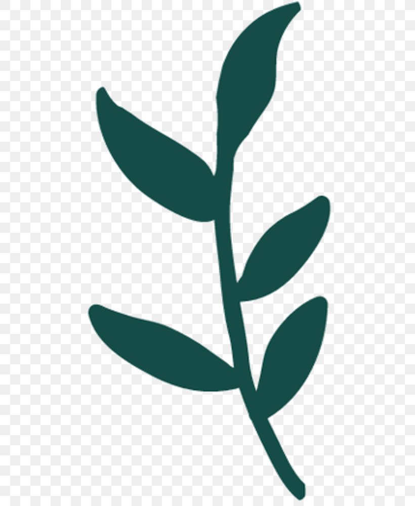 Clip Art Plant Stem Leaf Teal Flowering Plant, PNG, 516x1000px, Plant Stem, Botany, Branching, Flower, Flowering Plant Download Free
