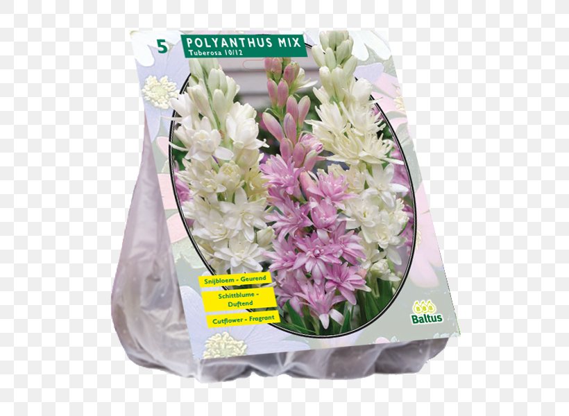 Cut Flowers Lilies Hyacinth Bulb Giant Allium, PNG, 800x600px, Cut Flowers, Allium, Bulb, Flower, Flower Bouquet Download Free