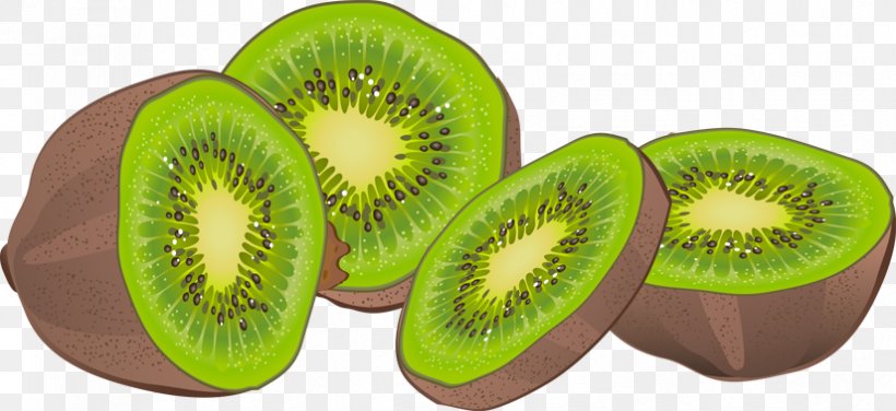 Kiwifruit Clip Art, PNG, 825x379px, Kiwifruit, Computer, Food, Free Content, Fruit Download Free