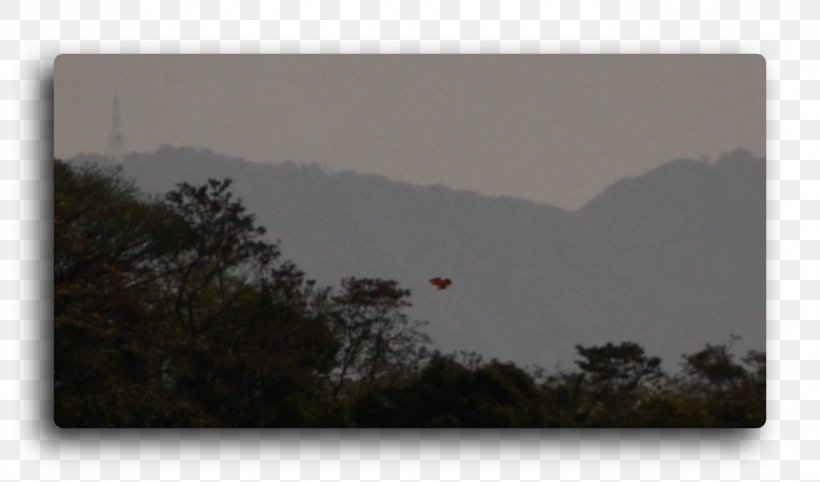 Unidentified Flying Object Costa Rica Extraterrestrial Life 0, PNG, 1372x807px, 2015, 2018, Unidentified Flying Object, Airplane, City Download Free