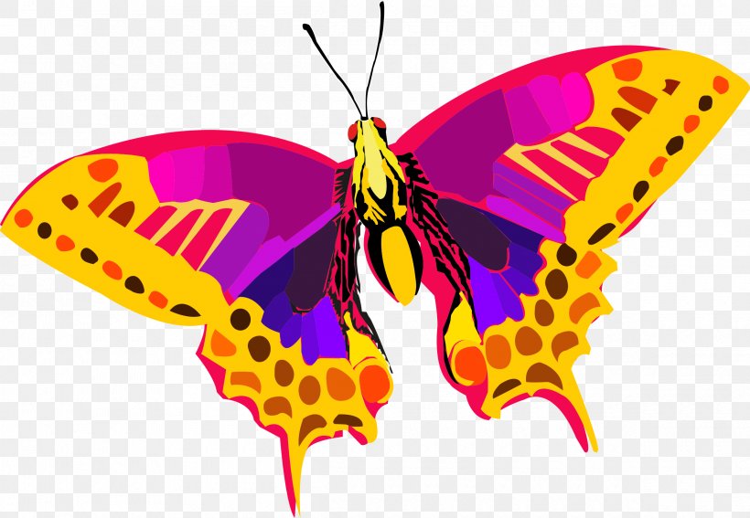 Butterfly Insect Clip Art, PNG, 2400x1660px, Butterfly, Animal, Arthropod, Brush Footed Butterfly, Color Download Free