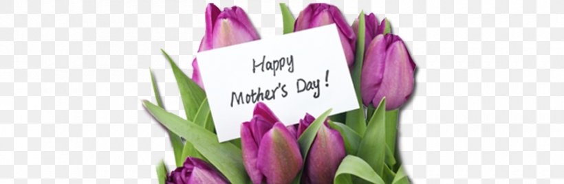 Mother's Day Wish Gift Greeting & Note Cards, PNG, 900x295px, Mother, Birthday, Cut Flowers, Family, Floral Design Download Free