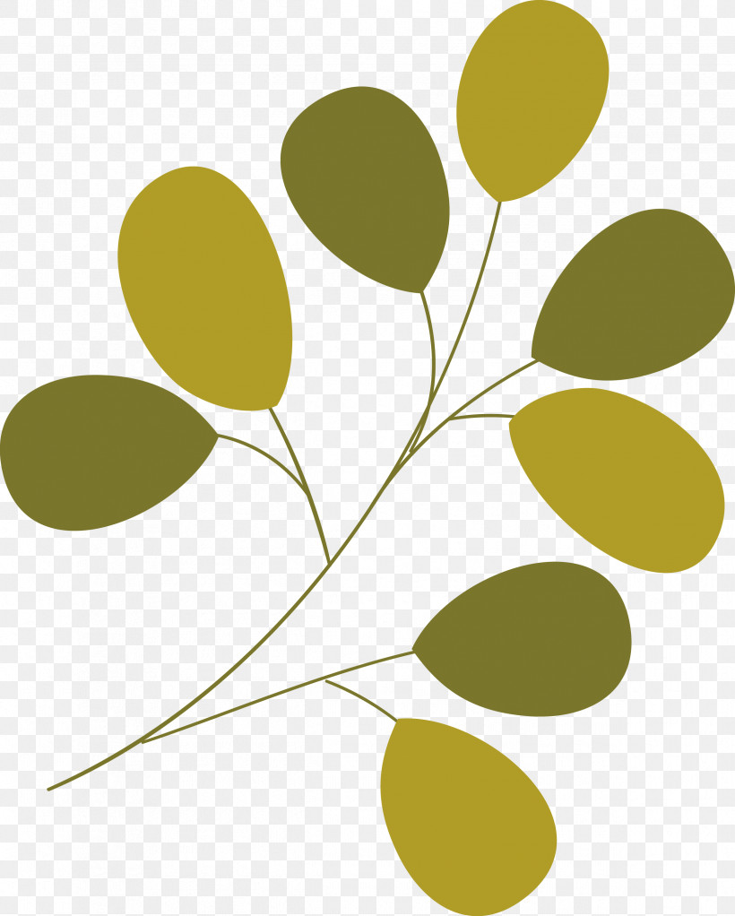 Branch Plant Stem Leaf Yellow Flower, PNG, 2424x3024px, Branch, Biology, Flower, Leaf, Meter Download Free