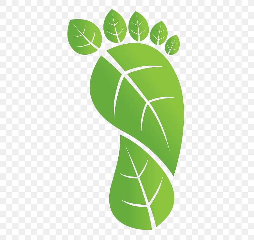 Carbon Footprint Global Warming Ecological Footprint Natural Environment Carbon Dioxide, PNG, 526x775px, Carbon Footprint, Carbon Capture And Storage, Carbon Dioxide, Ecological Footprint, Ecology Download Free