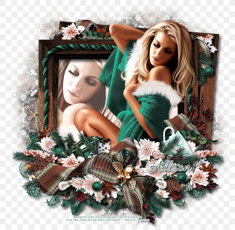 Christmas Ornament, PNG, 800x800px, Christmas Ornament, Christmas, Christmas Decoration Download Free