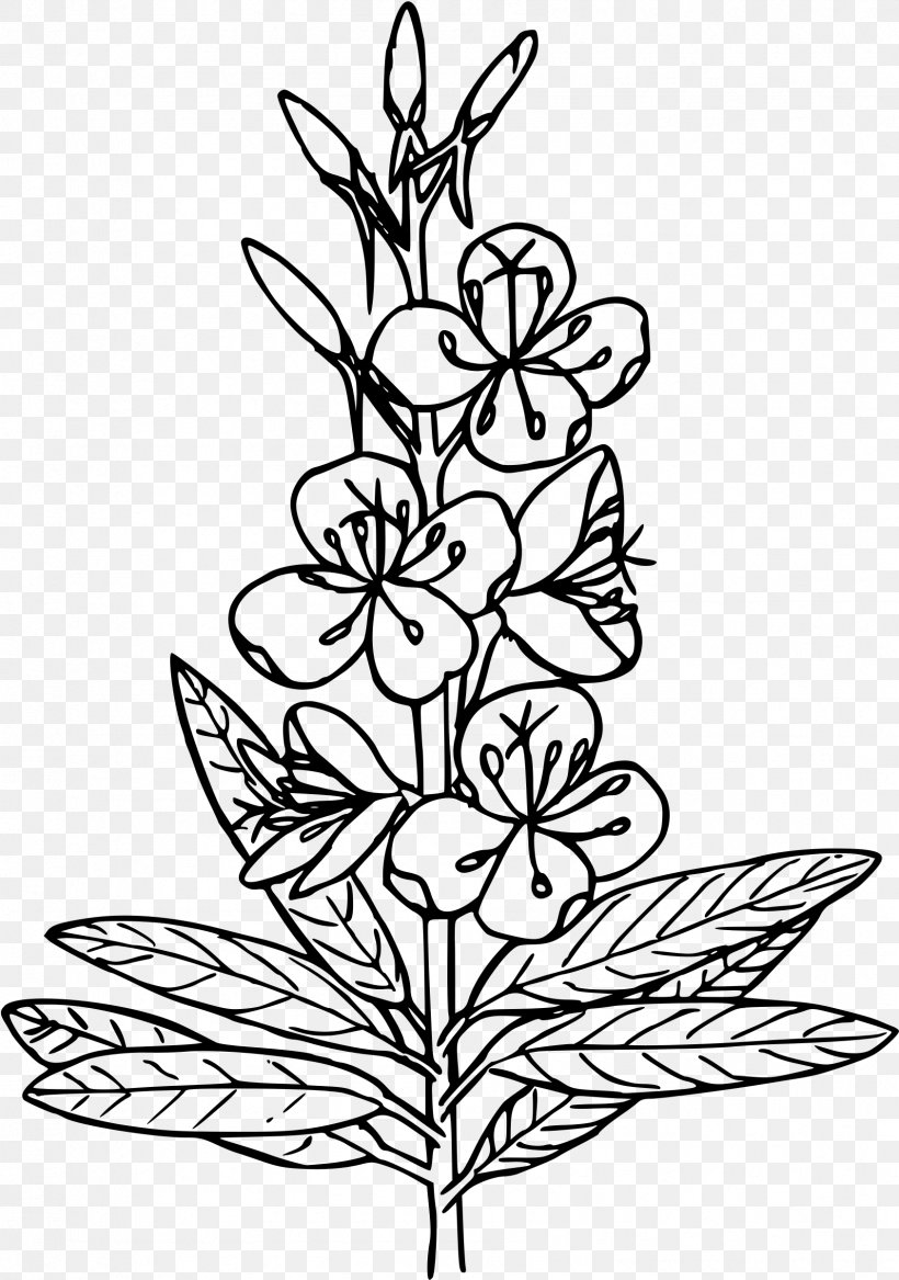 Coloring Book Fireweed Herb Blake Studies In Japan; A Bibliography Of Works On William Blake Published In Japan 1893-1993 Clip Art, PNG, 1686x2400px, Coloring Book, Art, Artwork, Black And White, Book Download Free