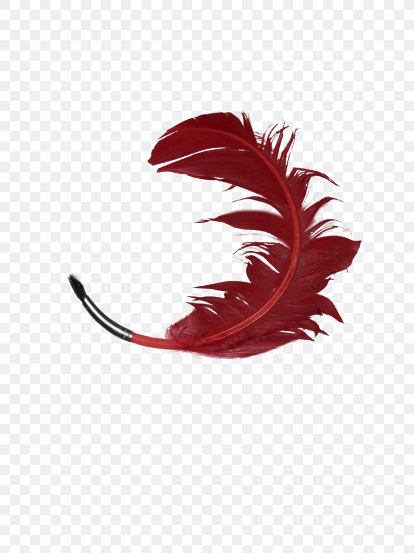 Eyelash Feather RED.M, PNG, 730x1095px, Eyelash, Fashion Accessory, Feather, Maroon, Plant Download Free