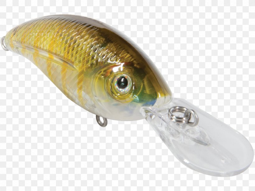 Fishing Baits & Lures Perch Osmeriformes Oily Fish, PNG, 1200x900px, Fishing Baits Lures, Bait, Deep Impact, Fish, Fishing Bait Download Free