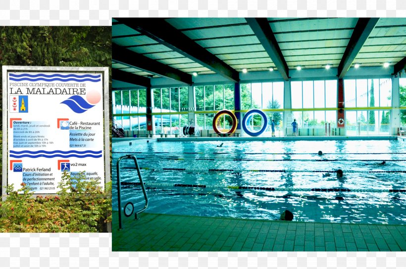 Olympic-size Swimming Pool Communal Pool The Maladaire Hotel Piscine Couverte De L'Ancien Stand, PNG, 1641x1090px, Swimming Pool, Advertising, Attente, Banner, Cafe Download Free