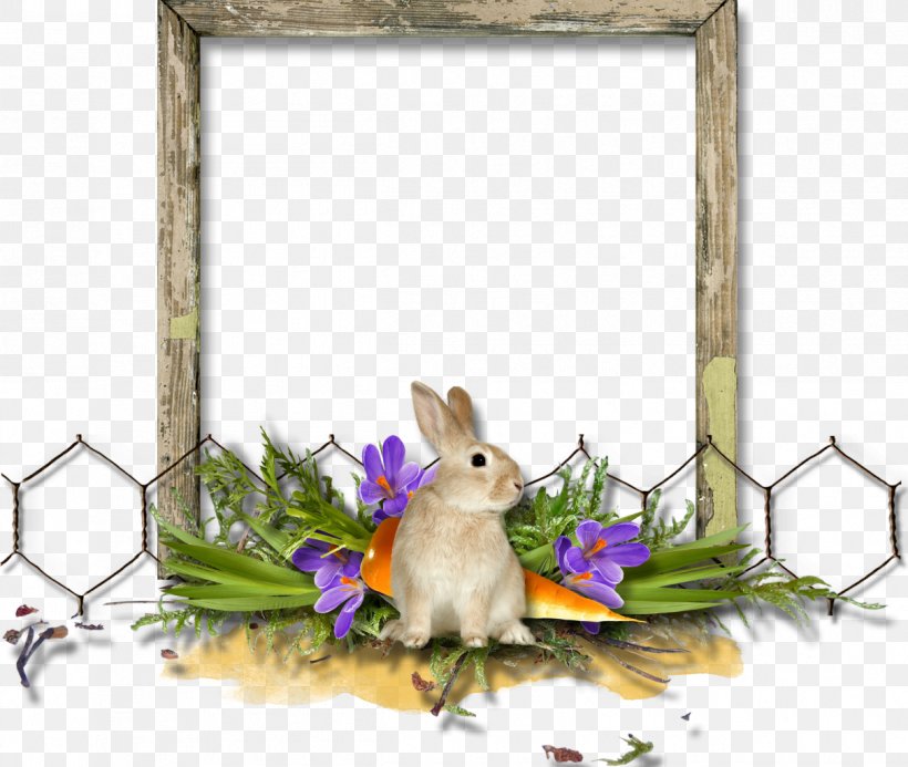 Picture Frames Satsuki Kusakabe Clip Art, PNG, 1211x1024px, Picture Frames, Art, Drawing, Easter, Fauna Download Free