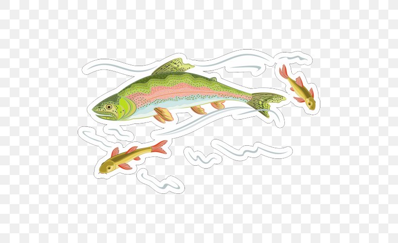 Rainbow Trout Vector Graphics Stock Photography Illustration, PNG, 500x500px, Trout, Bait, Bass, Brook Trout, Brown Trout Download Free