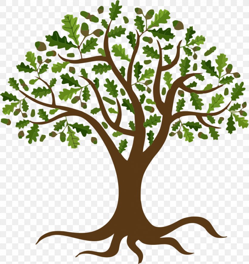 Vector Graphics Tree Oak Branch, PNG, 961x1018px, Tree, Arbor Day, Art, Botany, Branch Download Free