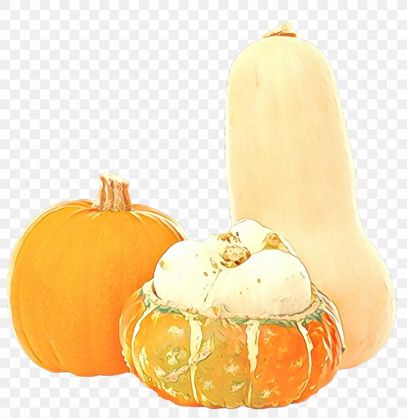 Winter Cartoon, PNG, 1500x1539px, Cartoon, Calabaza, Cucurbita, Diet, Diet Food Download Free