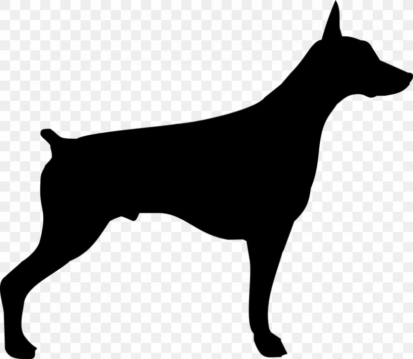 Dobermann German Pinscher Miniature Pinscher Puppy Rottweiler, PNG, 829x720px, Dobermann, Animal, Black And White, Carnivoran, Dog Download Free