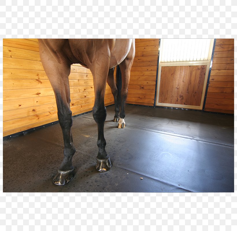 Horse Mat Stable Flooring Paddock, PNG, 800x800px, Horse, Building, Calf, Floor, Flooring Download Free