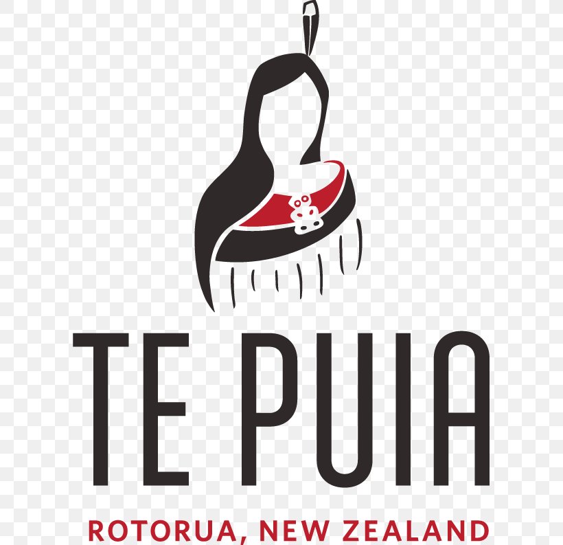 New Zealand Māori Arts And Crafts Institute Pohutu Geyser Logo Māori Culture, PNG, 607x793px, Logo, Artwork, Brand, Culture, Geothermal Energy Download Free