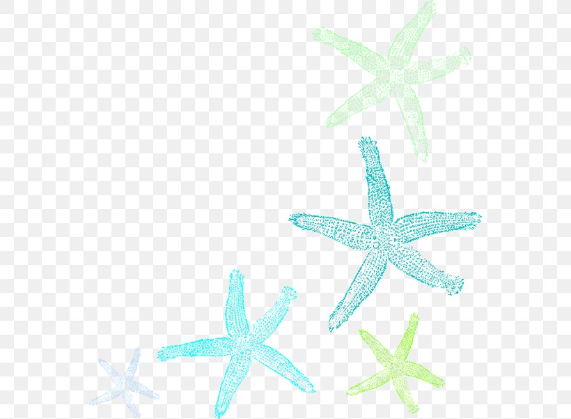 Starfish Clip Art, PNG, 564x601px, Starfish, Aqua, Cartoon, Echinoderm, Invertebrate Download Free