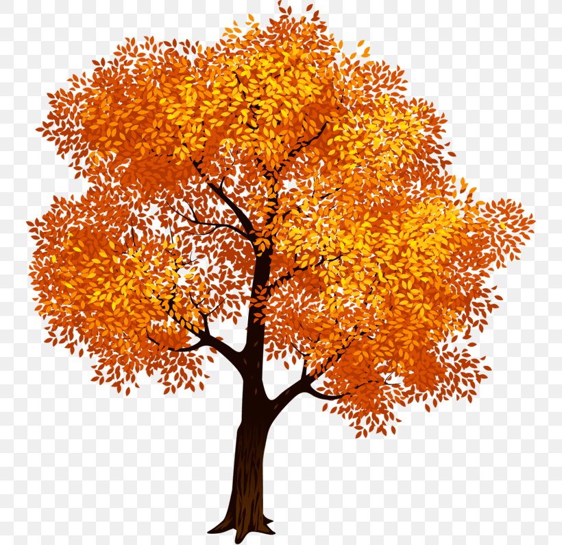 Tree English Oak Clip Art, PNG, 745x794px, Tree, Autumn, Branch, Document, English Oak Download Free