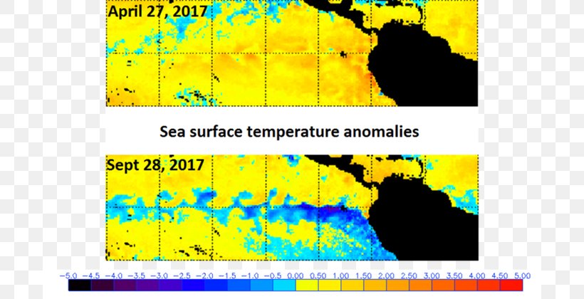Pacific Ocean La Niña Sea Surface Temperature El Niño, PNG, 700x420px, 2017, Pacific Ocean, Area, El Nino, Heat Download Free