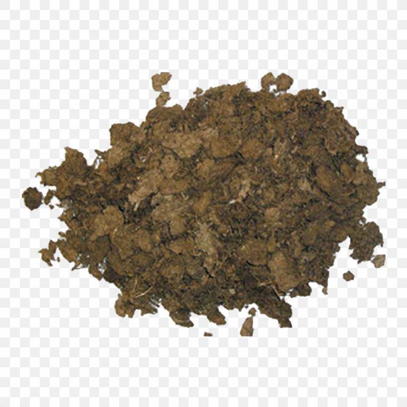 Peat Moss Soil Information, PNG, 1000x1000px, Peat, Crop, Cultivo, Fruit Tree, Horticulture Download Free