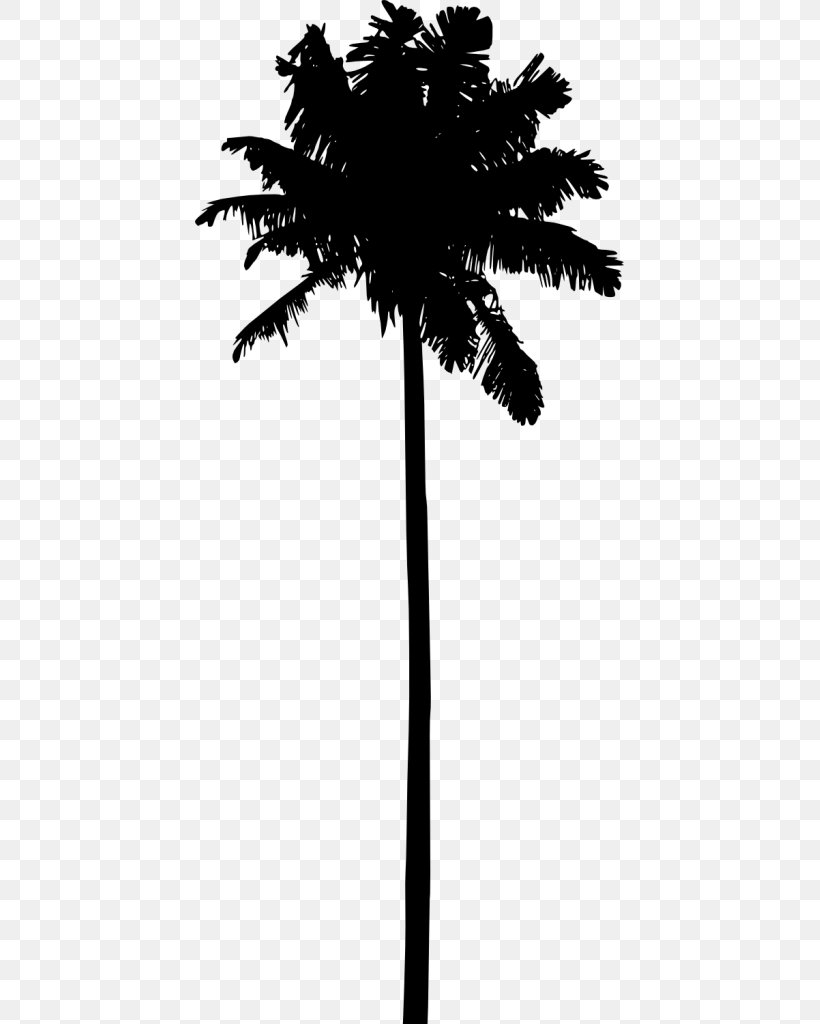 Clip Art Silhouette Palm Trees Vector Graphics, PNG, 429x1024px, Silhouette, Arecales, Black, Blackandwhite, Borassus Flabellifer Download Free
