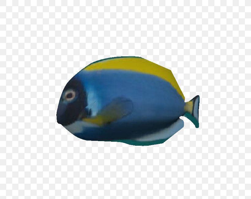 Beak Cobalt Blue Marine Biology Fauna, PNG, 750x650px, Beak, Biology, Bird, Blue, Cobalt Download Free