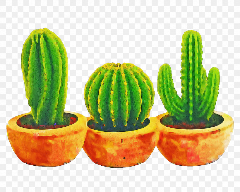 Cactus, PNG, 1800x1440px, Cactus, Agave, Cactus Garden, Echeveria, Flowerpot Download Free
