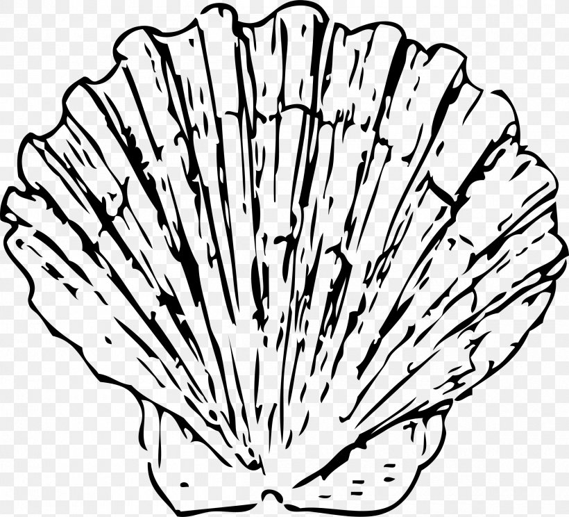 Seashell Conch Clam Clip Art, PNG, 2400x2178px, Seashell, Artwork, Black And White, Blog, Blue Download Free