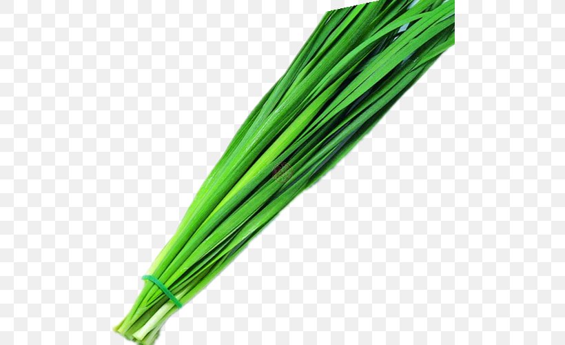 Allium Fistulosum Scallion Food Vegetable, PNG, 500x500px, Allium Fistulosum, Allium, Food, Grass, Ingredient Download Free