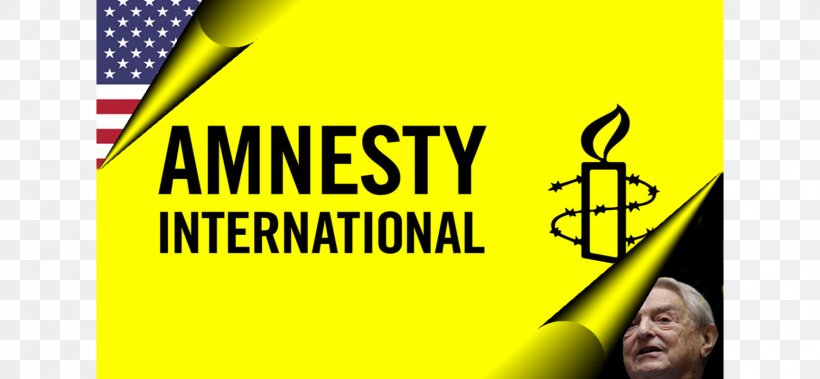 Amnesty International New Zealand Amnesty International New Zealand Amnesty International USA Human Rights, PNG, 1728x800px, Amnesty International, Action Alert, Advertising, Amnesty International France, Amnesty International New Zealand Download Free
